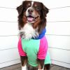 Color-Block Hoodie